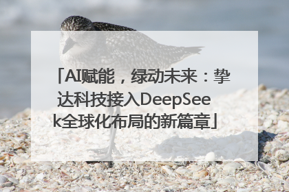 AI赋能，绿动未来：挚达科技接入DeepSeek全球化布局的新篇章