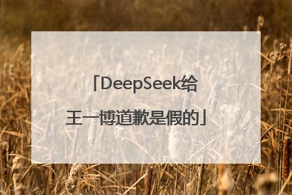 DeepSeek给王一博道歉是假的